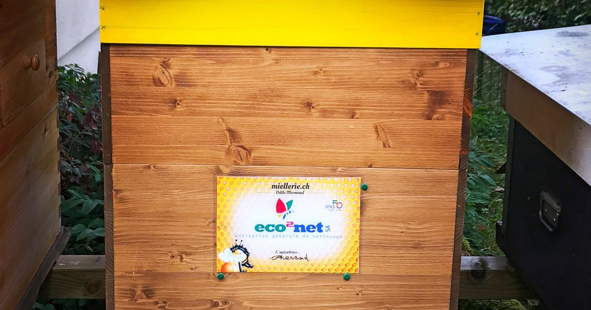 150'000 abeilles bientôt connectées dans le nouveau rucher de l'entreprise eco2net SA à Yverdon-les-Bains