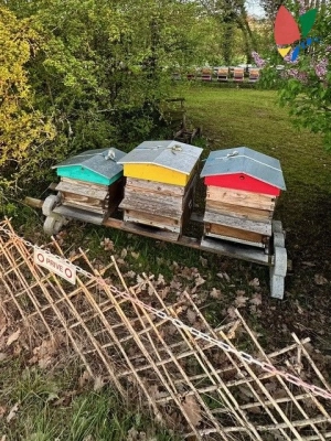 L'ecoRucher inaugure son nouvel écrin à Chamblon : une ruche d'apiculture durable